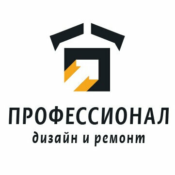 Профессионал